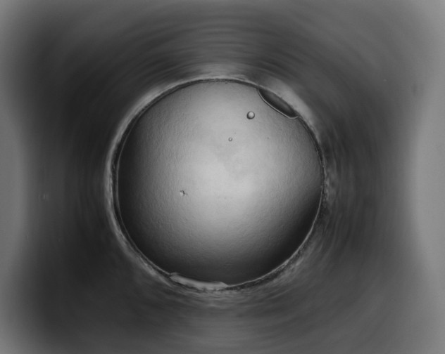 X0000100481096200806131225