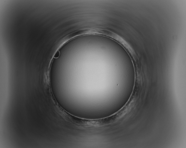 X0000100481097200806131225