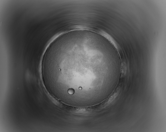 X0000100481098200806131225