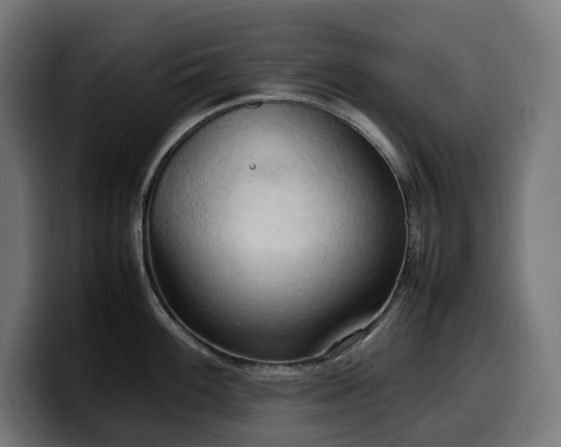 X0000100481100200806131225