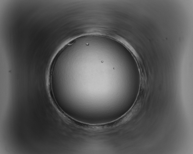 X0000100481101200806131225