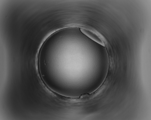 X0000100481102200806131225