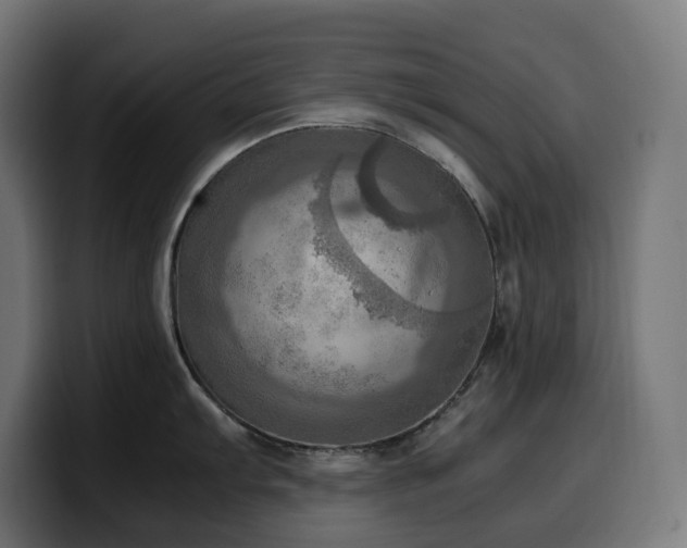 X0000100481103200806131225