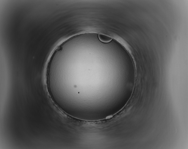 X0000100481104200806131225