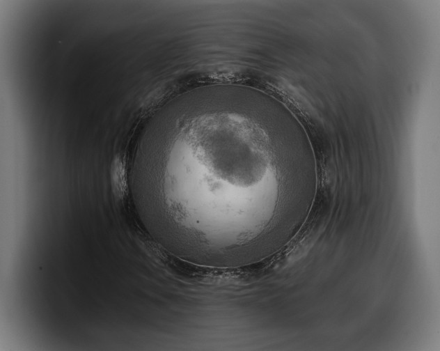 X0000100481106200806131224