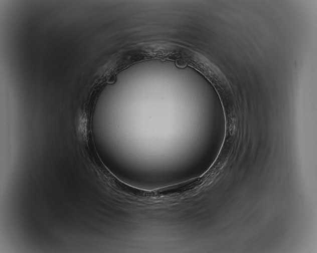 X0000100481108200806131224