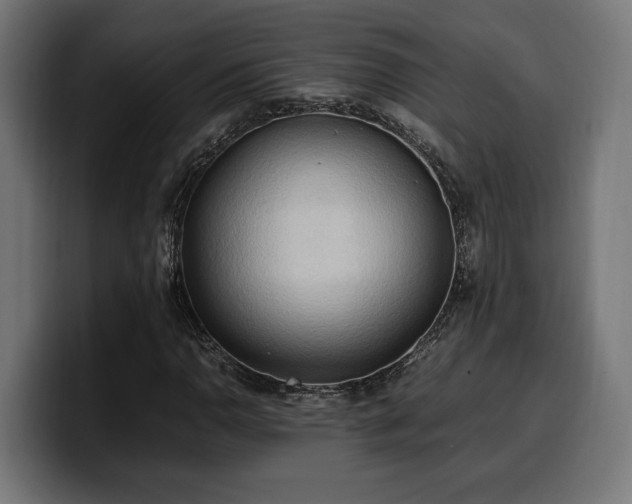 X0000100481110200806131224