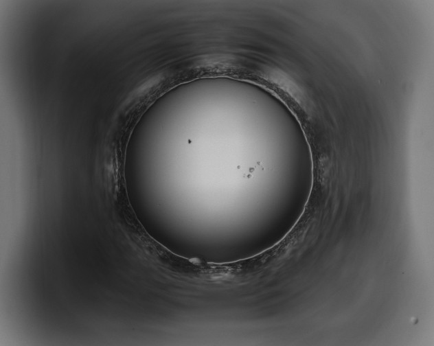 X0000100481111200806131224