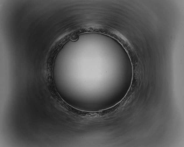 X0000100481112200806131224