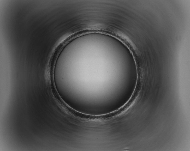 X0000100481114200806131224