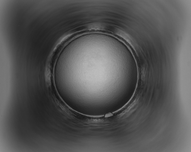 X0000100481115200806131224