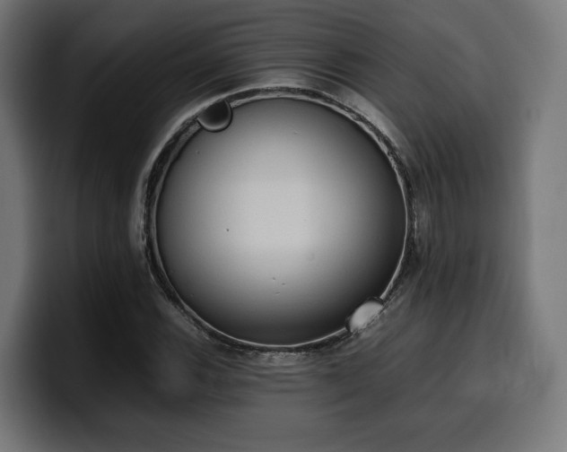 X0000100481116200806131224