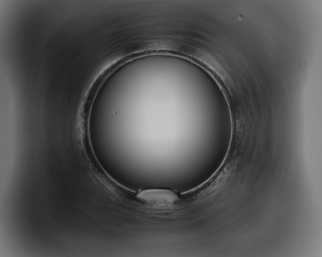 X0000100481119200806131224