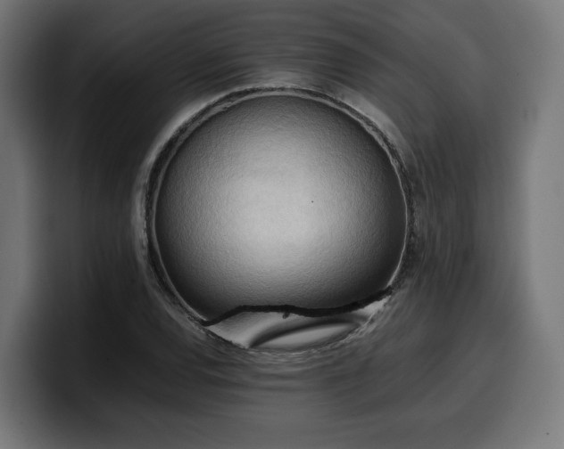 X0000100481120200806131224