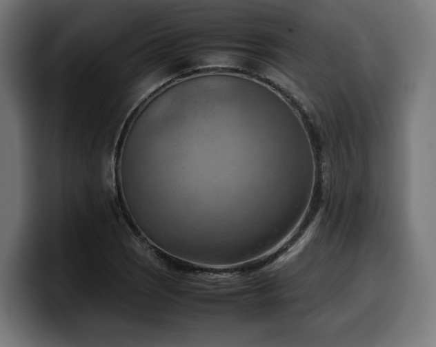 X0000100481121200806131224