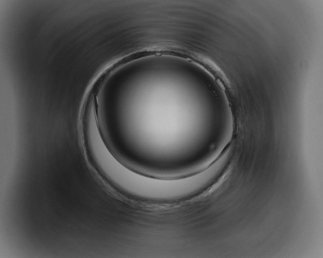X0000100481122200806131224