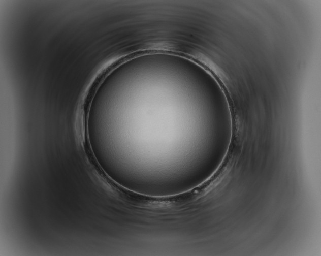 X0000100481123200806131224
