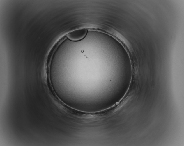X0000100481124200806131224