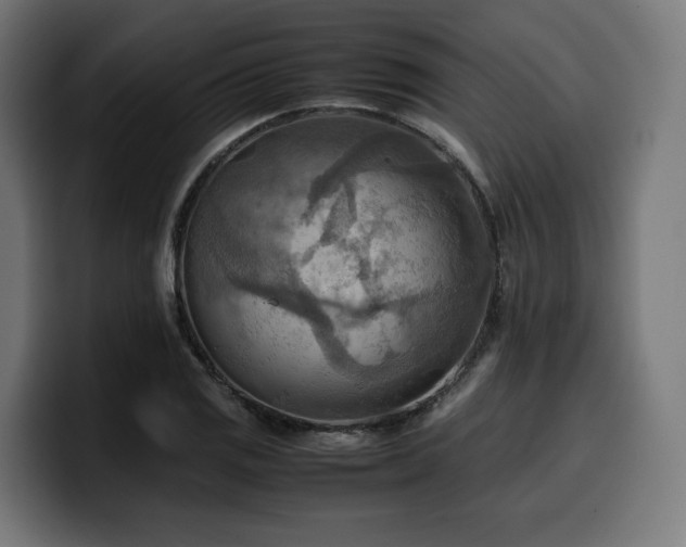 X0000100481125200806131225