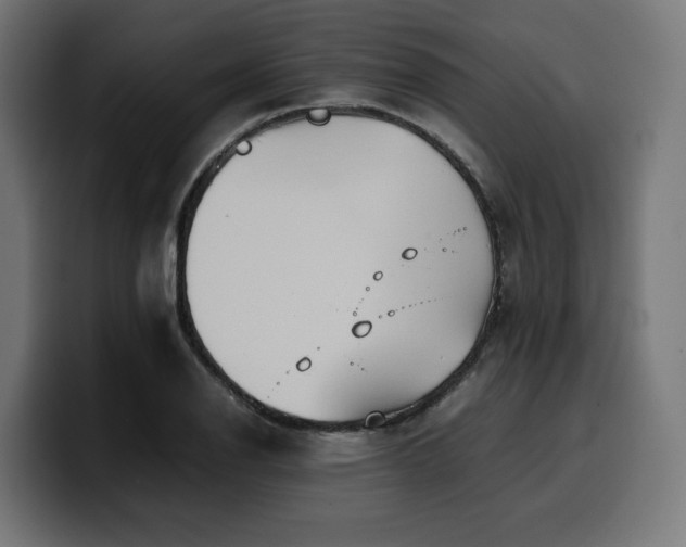 X0000100481126200806131225