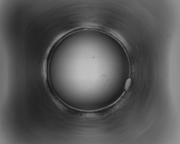 X0000100481128200806131225