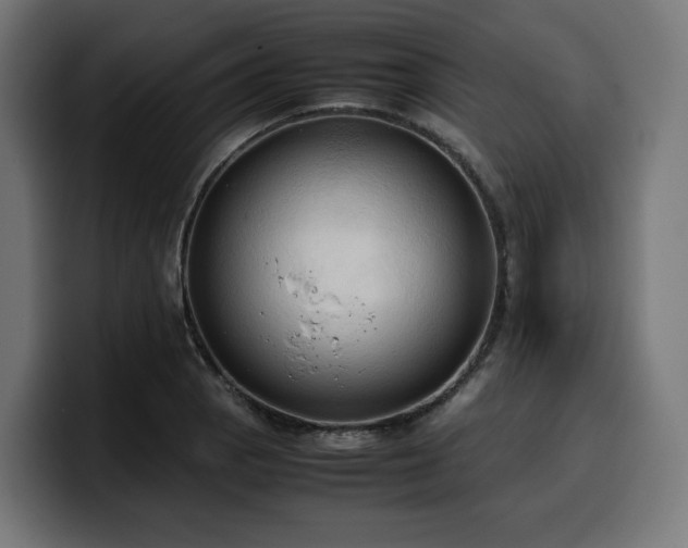 X0000100481129200806131225