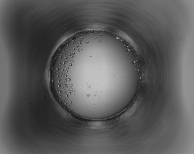X0000100481130200806131225