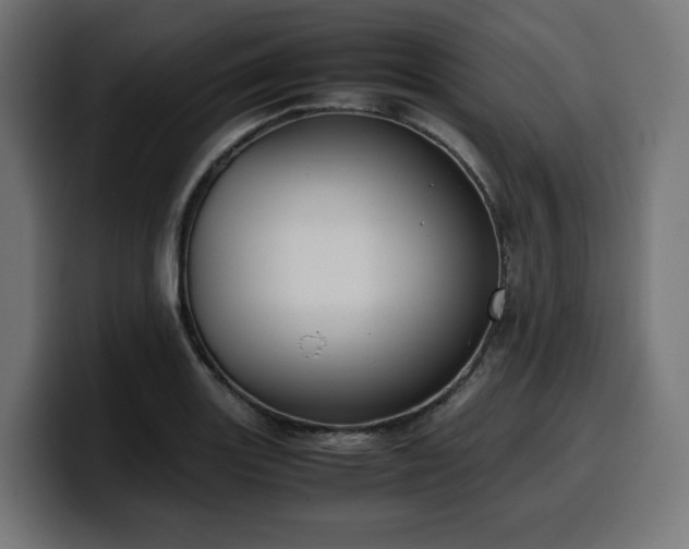 X0000100481131200806131225