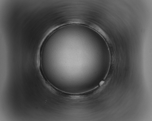 X0000100481132200806131225