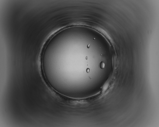 X0000100481133200806131225