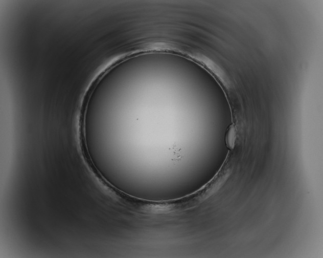 X0000100481134200806131225