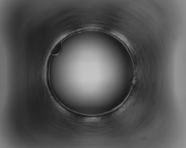 X0000100481135200806131225