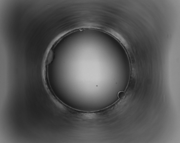 X0000100481136200806131225