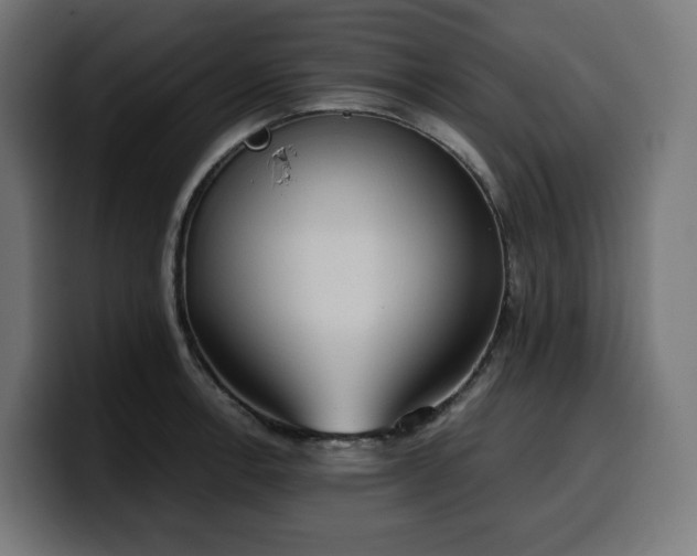 X0000100481138200806131225