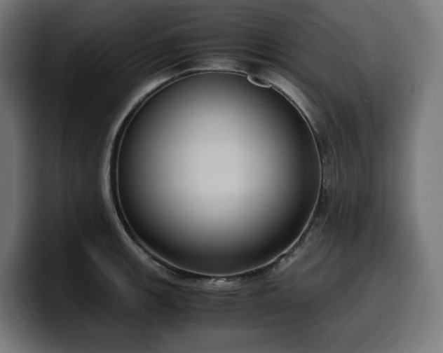 X0000100481139200806131225