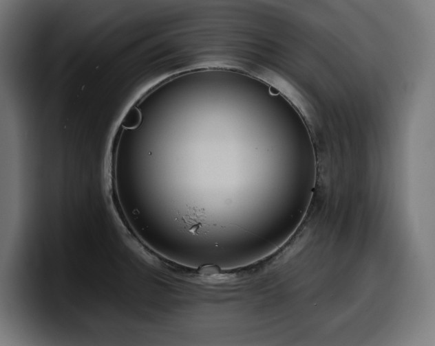 X0000100481140200806131225