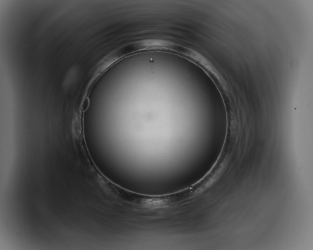 X0000100481145200806131225