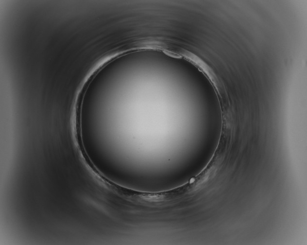 X0000100481147200806131225