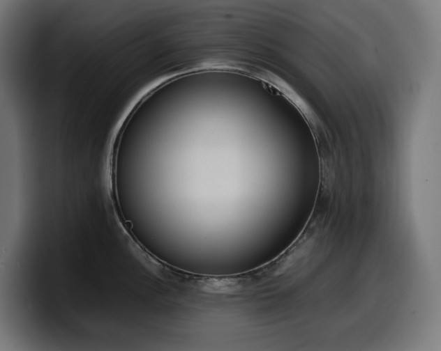 X0000100481148200806131225