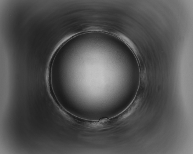 X0000100481149200806131225