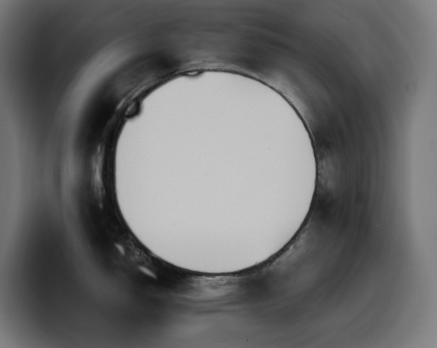 X0000100481150200806131225