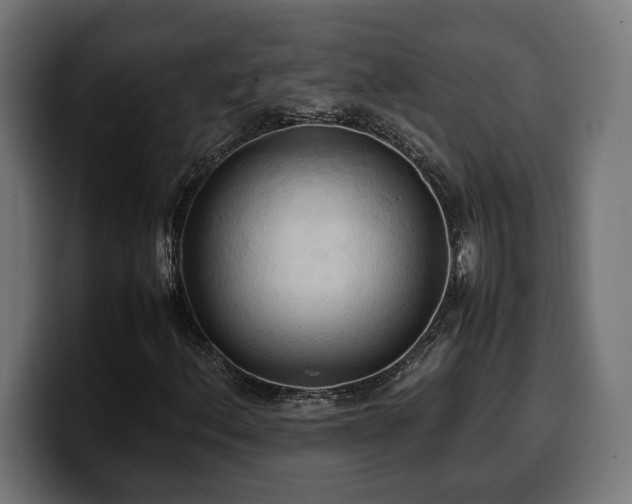 X0000100481156200806131224