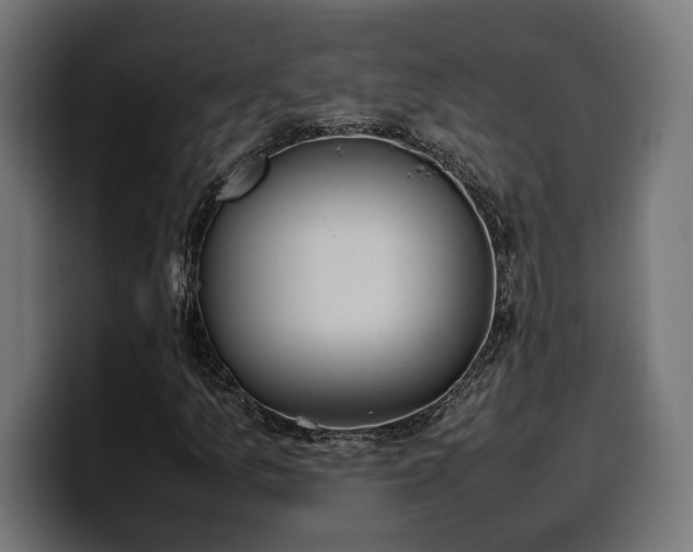 X0000100481157200806131224