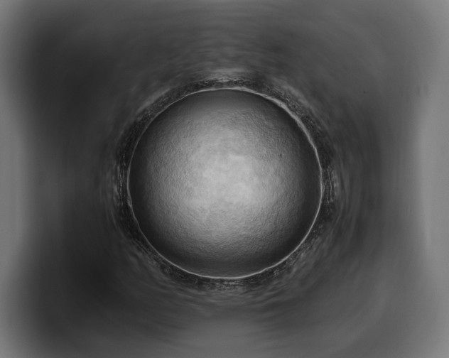 X0000100481158200806131224