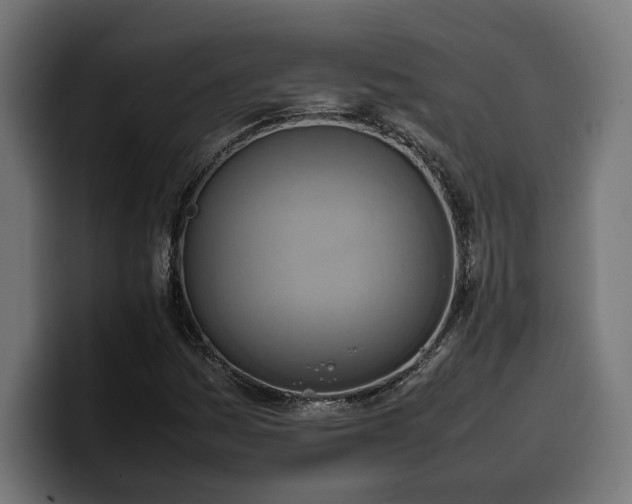 X0000100481161200806131224