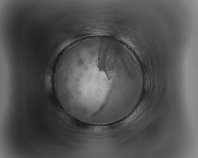 X0000100481163200806131224