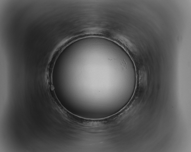 X0000100481164200806131224