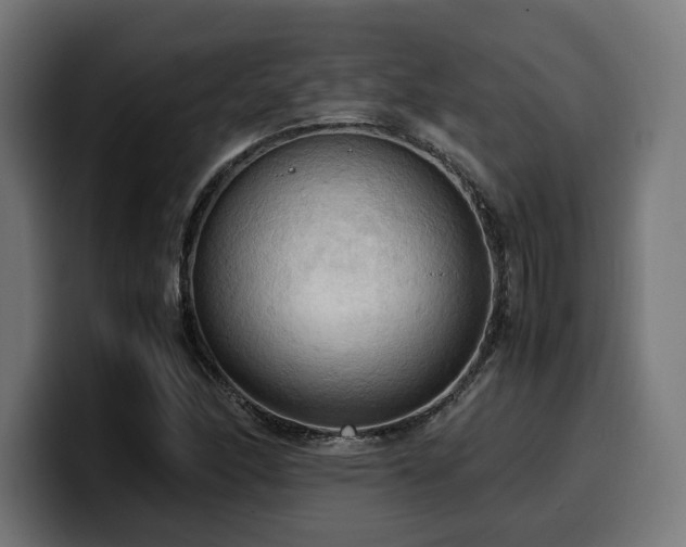 X0000100481166200806131224