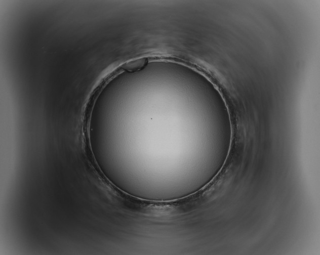 X0000100481168200806131224