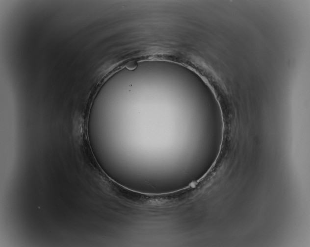 X0000100481169200806131224